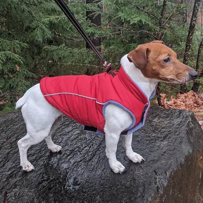 Gooby Sports Vest Dog Jacket - Red, X-Small - Reflective Dog Vest with D Ring Leash Warm Fleece Lined Hook and Loop Closure for Small to Medium Dogs