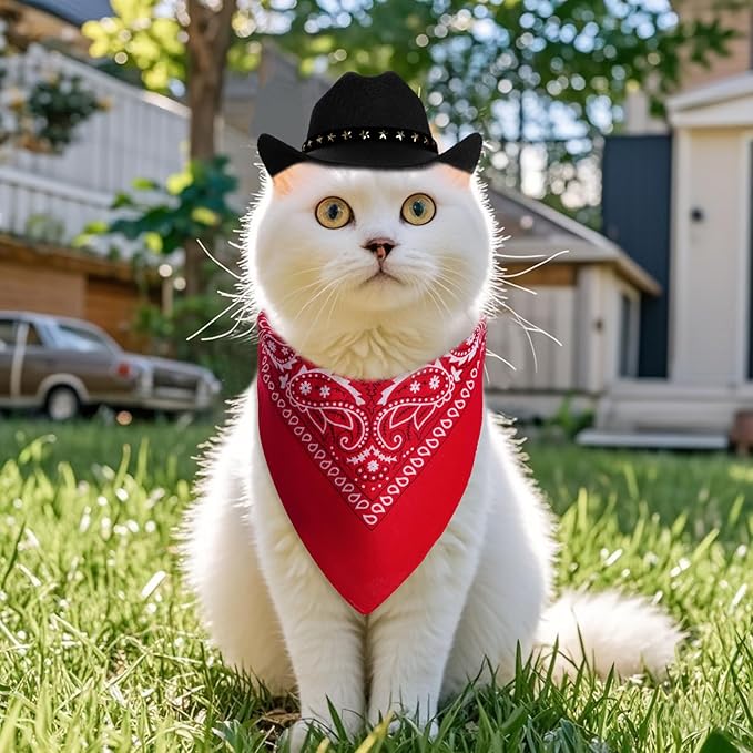 Pet Cowboy Costume Halloween Costumes for Small Pet Dogs Cat Cowboy Hat with Bandana Scarf Set Party Accessories (Black, Small)