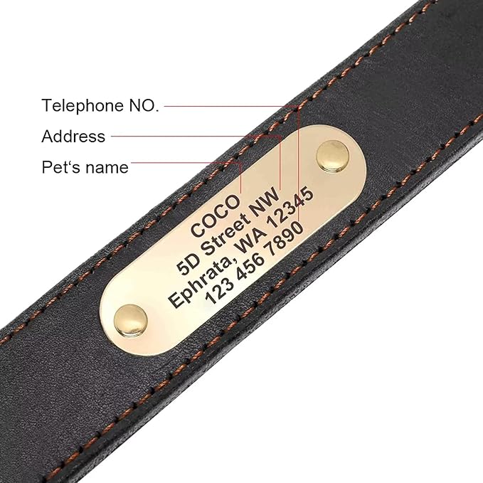Didog Genuine Leather Dog Collars with Engraved Nameplate, Personalized Soft Leather Dog Collar with Custom ID Tag, Brown/Green/Red for Medium Large Dogs (L,Black)