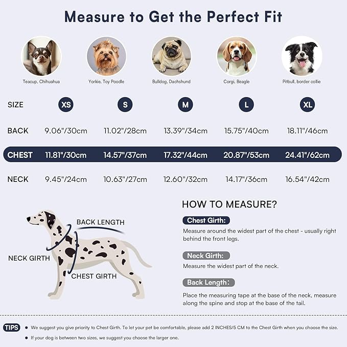 Queenmore Warm Dog Sweater, Soft Pet Knitwear, Knitted Pullover, Winter Pet Clothes for Small Medium Dogs Cats Black