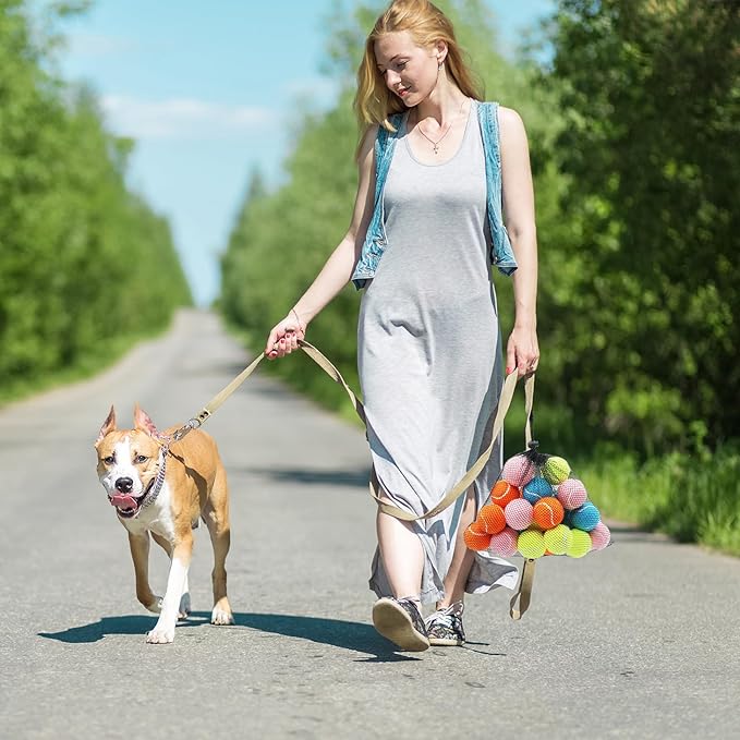 Magicorange 20 Pack Small Tennis Balls, 2 inch Squeaky Tennis Ball for Dogs,Colorful Easy Catching Squeaky Dog Balls with Mesh Bag for Easy Transport (Multicolor)