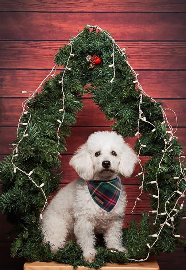 Lionet Paws Christmas Dog Bandana Washable Cotton Handkerchief Scarf Triangle Green Bandanas for Small Medium Dogs Girl Boy