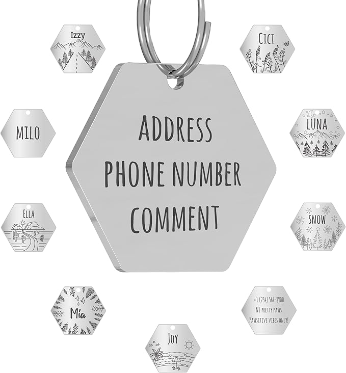 PawFurEver Dog Tag Personalized Pet Name | Customized Dog Tags Engraved Front & Back - Stainless Steel, Dark Etching Pet ID Tag Dog Tags Made in USA (Hexagon, Silver)
