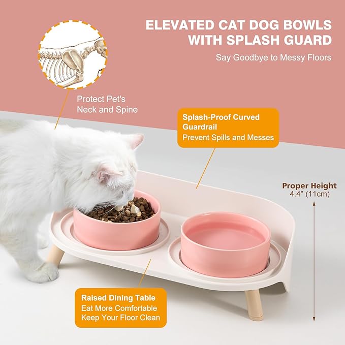 Elevated Ceramic Cat Bowl Set - Raised Double Dishes for Food & Water - Non-Slip Stand & Splash Proof - for Cats & Puppies - 2 x 480 ML - 16.23 OZ