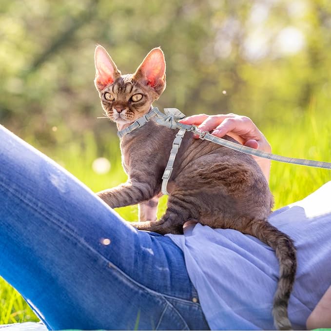 TIESOME Cat Harness and Leash Set, Adjustable Gradient Kitten Harness Escape Proof Harness with Leash for Kitty Outdoor Walking (Bow Tie)