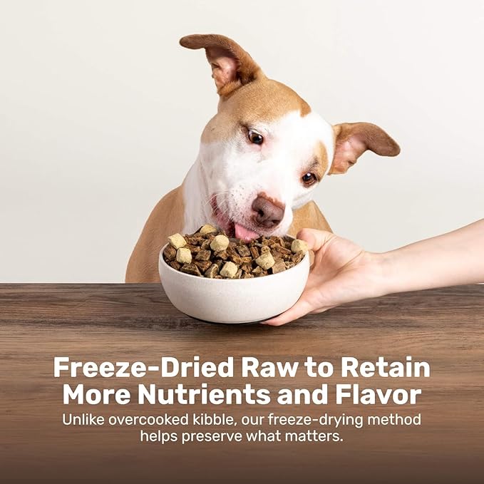 BADLANDS RANCH Superfood Nuggets – Freeze-Dried Raw Dog Treat & Food Topper, Nutrient-Dense Bison & Kale Formula, High Protein, No Artificial Additives, 8oz Bag