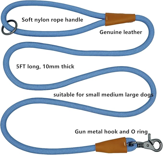 5FT Nylon Rope Dog Leash, Short Leash for Training Small Medium Large Dogs (Air Blue, 5FTx10MM)