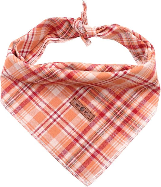 Lionet Paws Fall Dog Bandana Halloween Thanksgiving Washable Cotton Handkerchief Scarf Triangle Bandana for Small Medium Large Dogs Girl Boy