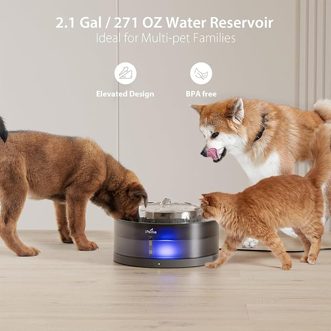 iPettie Cake Dog Water Fountain, 8L/2.1Gal Large Capacity Automatic Dispenser, Wireless Pump Filtered Waterer Purifier with BPA-Free Stainless Steel Bowls, Dishwasher Safe, Grey