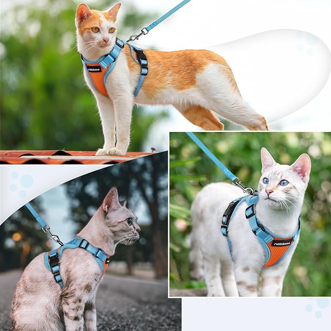 rabbitgoo Cat Harness and Leash Set, Escape Proof Soft Adjustable Vest Harnesses for Outdoor Walking, Easy Control Breathable Kitten Jacket with Reflective Strips, Orange & Light Blue, S