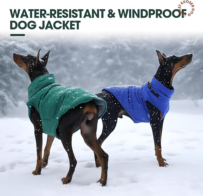 Kuoser Dog Coat, Dog Jackets for Large Dogs, Doggie Winter Coat for Cold Weather, Warm Snow Jacket Pet Apparel Clothes for Great Dane, Green XXXL
