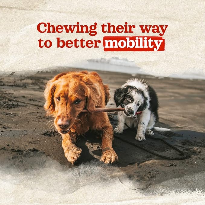 Natural Farm Odor-Free Collagen Chews (12 Inch, 3 Pack), Long Lasting Bully Sticks & Rawhide Alternative Dog Treats, 95% Collagen Low Fat, High Protein Best Dental Dog Treats – Medium & Large Dogs