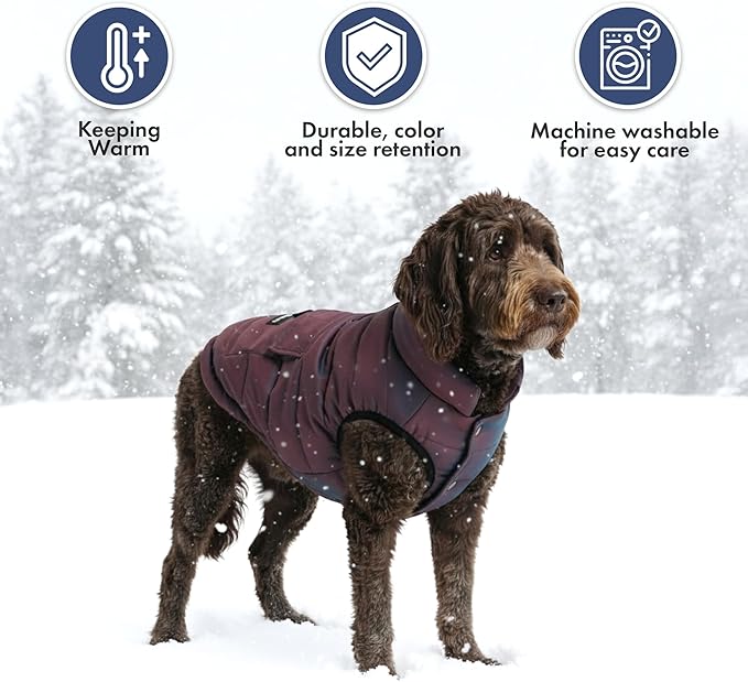 Spark Paws Dog Winter Jacket, Water-Resistant Coat, Warm Reflective Windproof Fleece-Interior, for Medium and Large Dogs - Cosmic - 2XL
