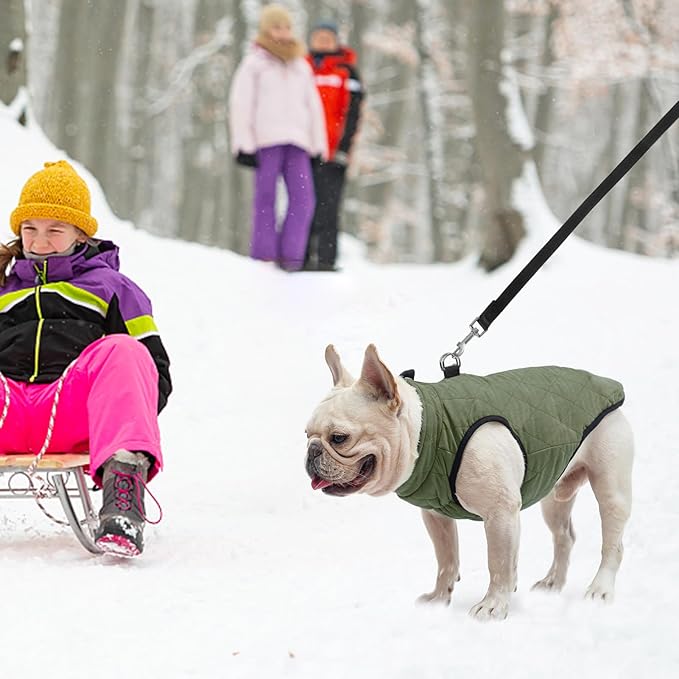 SCENEREAL Winter Dog Vest Coat with Built-in Harness, Warm Puppy Jacket for Small & Medium Dogs, Cold Weather Coat with Zipper, Fleece Puffer Vest Windproof Snow Clothes