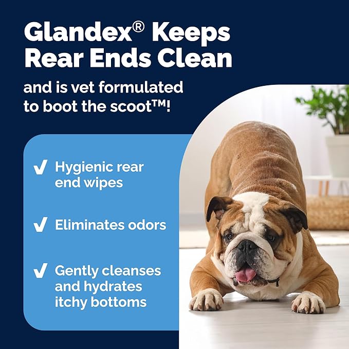 Vetnique Glandex Dog Wipes for Pets Cleansing & Deodorizing Anal Gland Hygienic Dog & Cat Wipes with Vitamin E, Skin Conditioners and Aloe Labs (100ct)