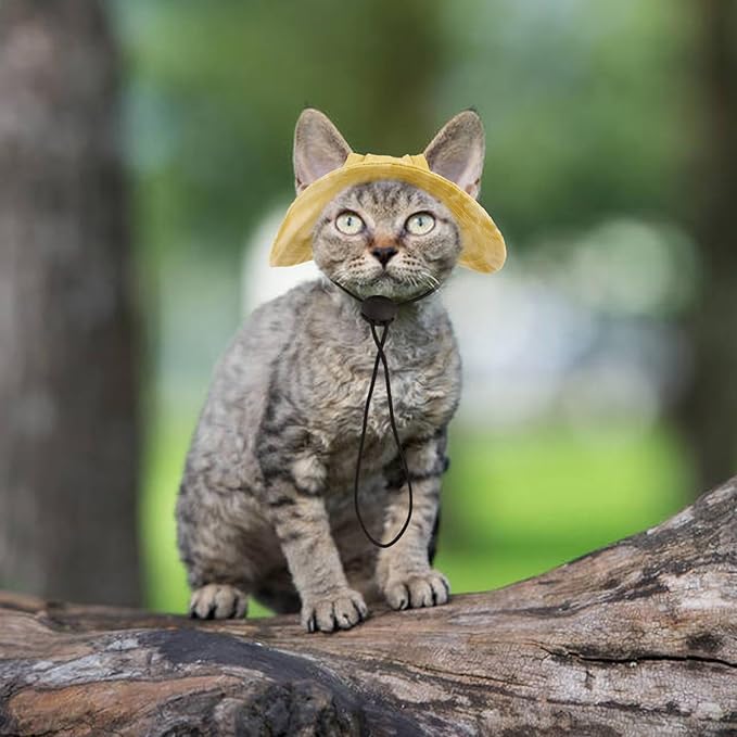 QBLEEV Cat Hats for Cats Only, Sphynx Hat with Ear Hole, Hairless Cat Cowboy Hats for Birthday Party Halloween, Kitten Headwear Sun Sombrero Caps, Chihuahua Sunscreen Baseball Outdoor Climbing Cap
