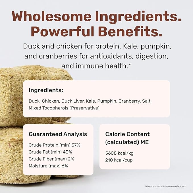 BADLANDS RANCH Superfood Nuggets – Freeze-Dried Raw Dog Treat & Food Topper, Nutrient-Dense Duck & Kale Formula, High Protein, No Artificial Additives, 8oz Bag