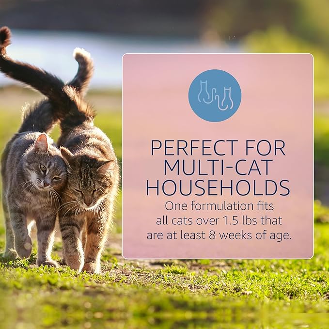 Catego for Cats Flea and Tick Treatment & Prevention (Over 1.5 lbs) 6-Month Supply