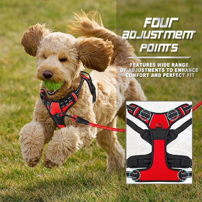 BARKBAY No Pull Dog Harness Front Clip Heavy Duty Reflective Easy Control Handle for Large Dog Walking(Red,XS)