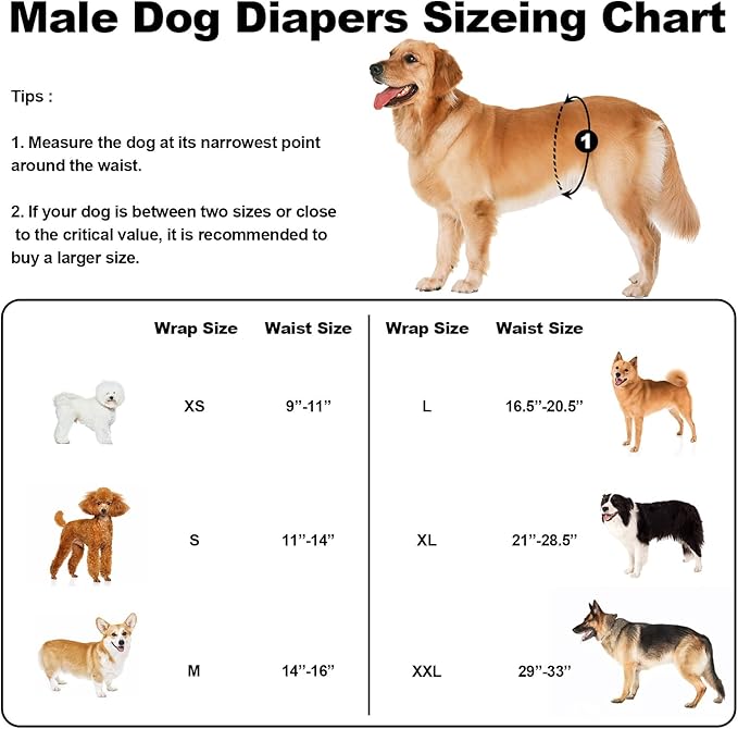 Washable Male Dog Diapers Reusable, Premium Dog Belly Bands for Male Dogs Medium, Pack of 3, High Absorbing Dog Pee Wraps for Doggie in Incontinence or Excitable Urination and Training(M)