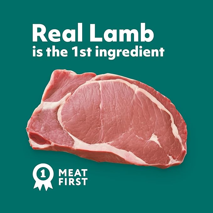 Optimeal Grain-Free Wet Cat Food – Lamb & Veggies Recipe, High Protein & Moisture Rich Indoor Adult Cats Food, Tender Morsels in Savory Gravy Natural Ingredients - 3 oz Pouches, 12 Pack