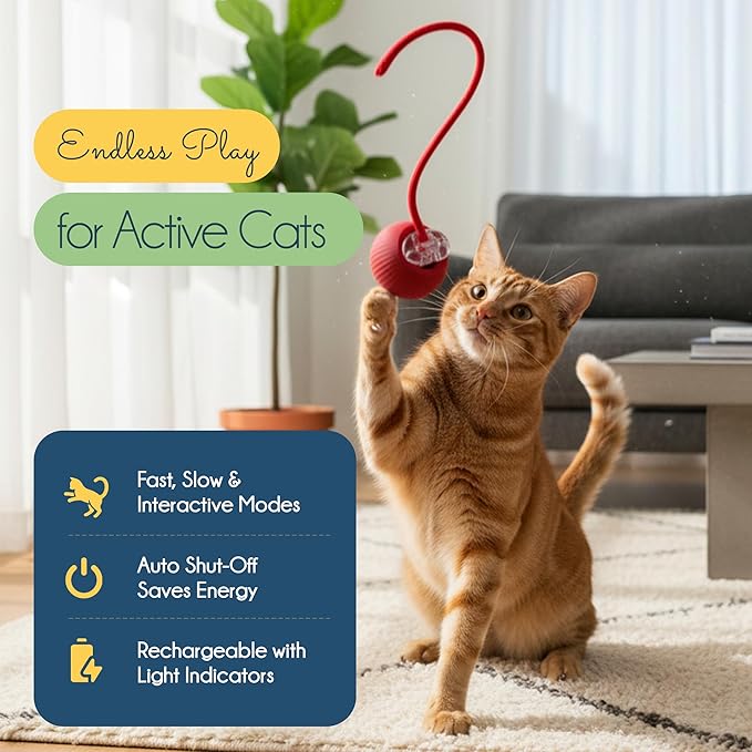Oh My Cat! Interactive cat Toys – Automatic Electric self-Play Toy Pack Supplies for Bored Indoor Cats, Kittens, and Adult Pets; Moving Stimulation Games, Cute Catnip Ball, Funny Exercise Gift