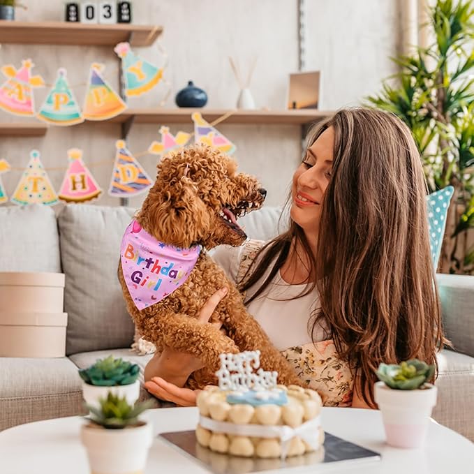 Dog Birthday Bandana Set, Dog Birthday Party Supplies, Puppy Boy Girl Birthday Party Hat with Numbers for X-Small, Small and Meidum Puppy (Pink)