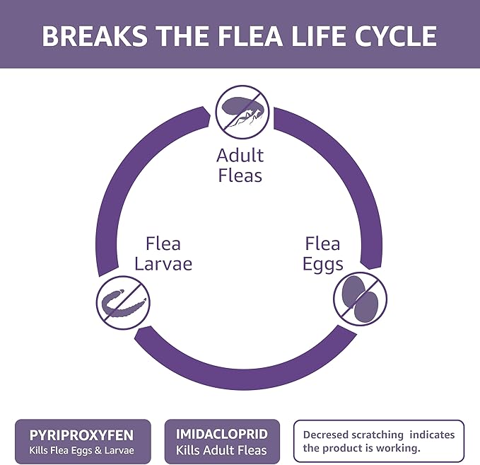 Amazon Basics Topical Flea Treatment for Large Cats (Over 9 Pounds), 6 Count (Previously Solimo