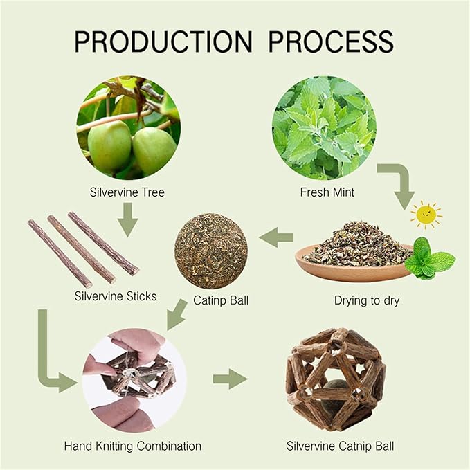 Catnip Toys-2Pcs Natural Silvervine Stick Catnip Ball&Bell Ball-Cat Toys for Indoor Cats- Cleaning Teeth Molar Tools Matatabi Cat Chew Toy-Kitten Toys All Breeds