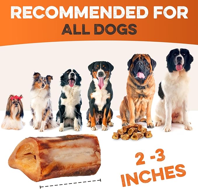 BRUTUS & BARNABY Marrow Bones for Dogs – 100% USA-Sourced Beef Bones – Long-Lasting, All-Natural Dog Chews – High Protein, Supports Dental Health, (12-pk) – Made in The USA