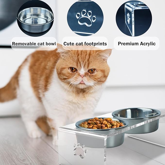 Raised Cat & Dog Bowl, Elevated Pet Feeding Station with 15 Tilted Neck Protective Acrylic Stand, Double Stainless Steel Bowls, for Small, Medium, Large Cats & Dogs