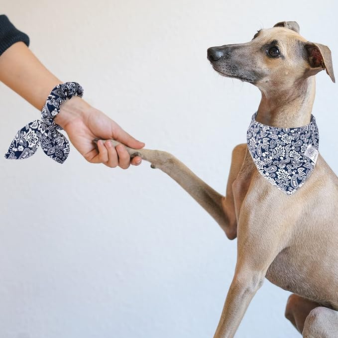 E-Clover Dog Bandanas Boy & Matching Scrunchie Set Dog Bandana Scarf Bibs with Bow Scrunchies for Medium Large Dogs Pet Owner Mom Boho