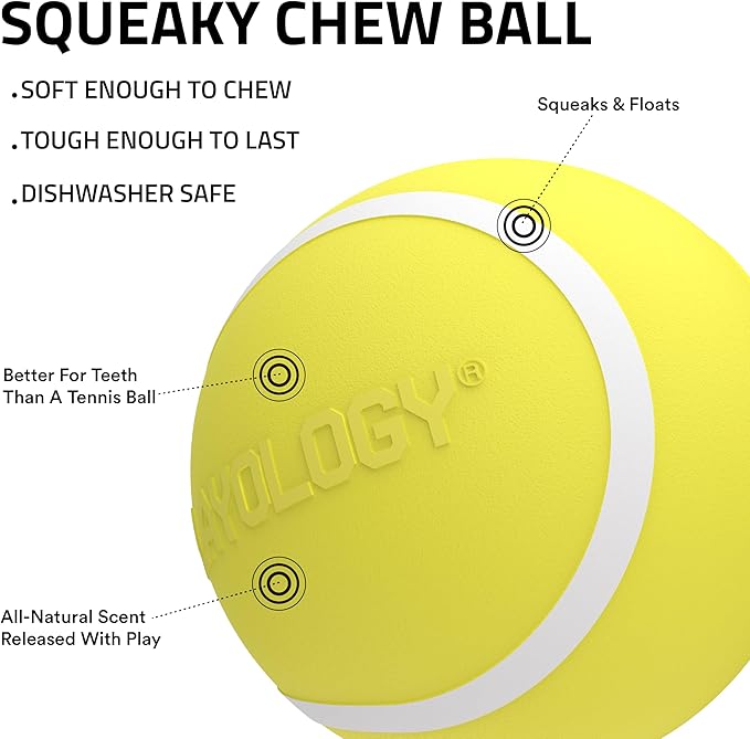 Playology Dog Toys | Squeaky Chew Ball - Bouncy Durable Floating Fetch Ball for Dogs, Value 3-Pack | Small Chicken Scented Toy - Easy to Clean and Made from Non Toxic Materials