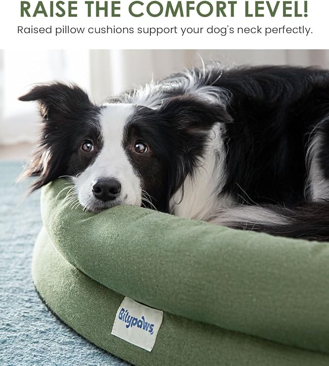 Orthopedic Dog Bed for Small Dogs, Pet Sofa Bed with Egg Crate Foam, 4-Sided Bolster, Removable Washable Cover & Anti-Slip Bottom, Small Calliste Green