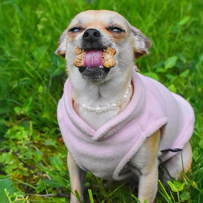 JACKO & CO - Fleece Vest Dog Sweater with Leash Ring - Soft, Warm & Lightweight Pullover Coat for Small & Medium Dogs, Puppies & Cats - Cozy Fall/Winter/Spring Pet Jacket (Pink Lemonade, Small 4-6lbs)