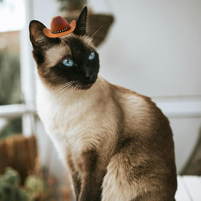 Dog Cowboy Hat Cat Cowboy Hat Pet Cowboy Costume Mini Cowboy Hat for Dogs Cat Holiday Halloween Pet Party Decoration (Brown, Small)