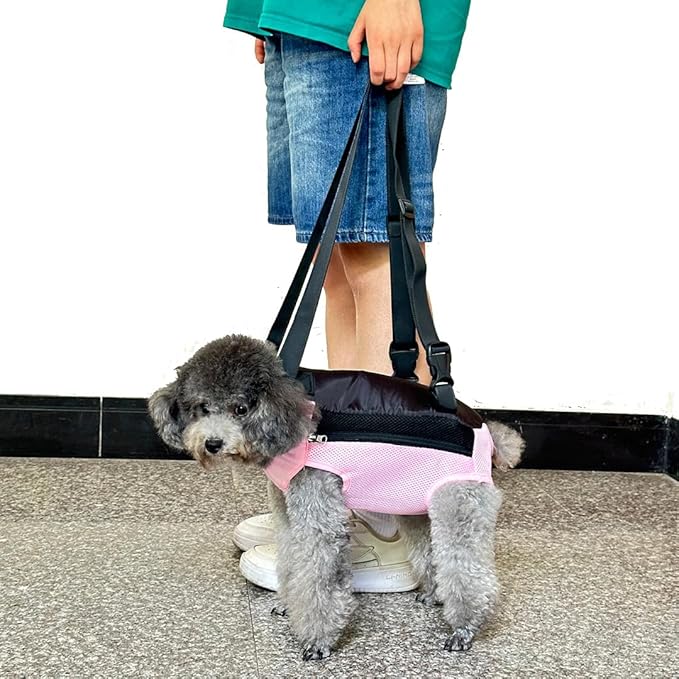 Pet Dog Carrier Backpack, Portable Breathable Mesh Chest Carrier, Polyester Woven Double Shoulder Pet Bag for Outdoor Adventures (Pink, Small)