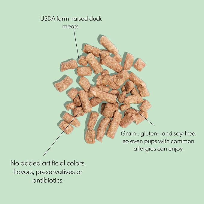 Little Hunter Duck Dog Treats Freeze Dried | Raw Single Ingredient Duck Morsel for Snacks, Training, Dog Food Toppers - All Natural, 2 oz