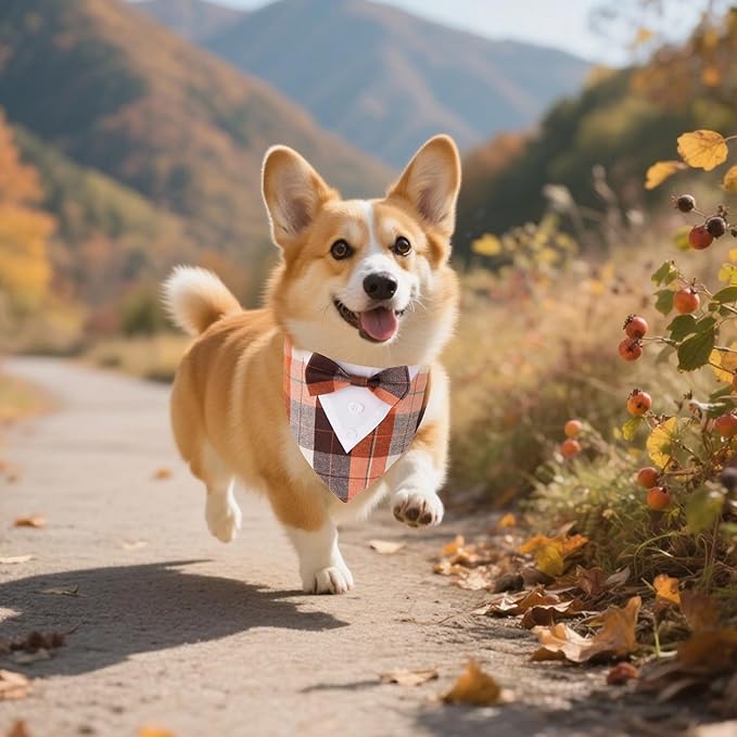 ADOGGYGO Fall Dog Tuxedo Bandana, Orange Plaid Pet Fall Collar with Bowtie, Adjustable Halloween Thanksgiving Costume for Small Dogs (S)