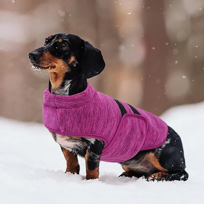Queenmore XXL Dog Sweaters, Soft Fleece Vest Pullover Dog Jacket with Leash Hole, Warm Winter Dogs Clothes Cold Weather Doggy Dachshund Sweater for Large Dogs Cats Boy or Girl (Cationic Berry, XXL)