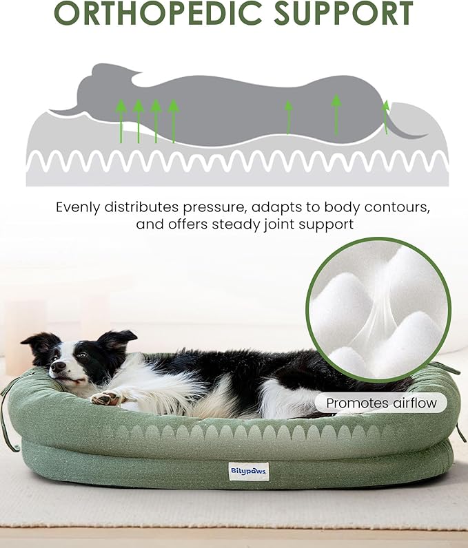 Orthopedic Dog Bed for Large Dogs, Pet Sofa Bed with Egg Crate Foam, 4-Sided Bolster, Removable Washable Cover & Anti-Slip Bottom, X-Large Calliste Green