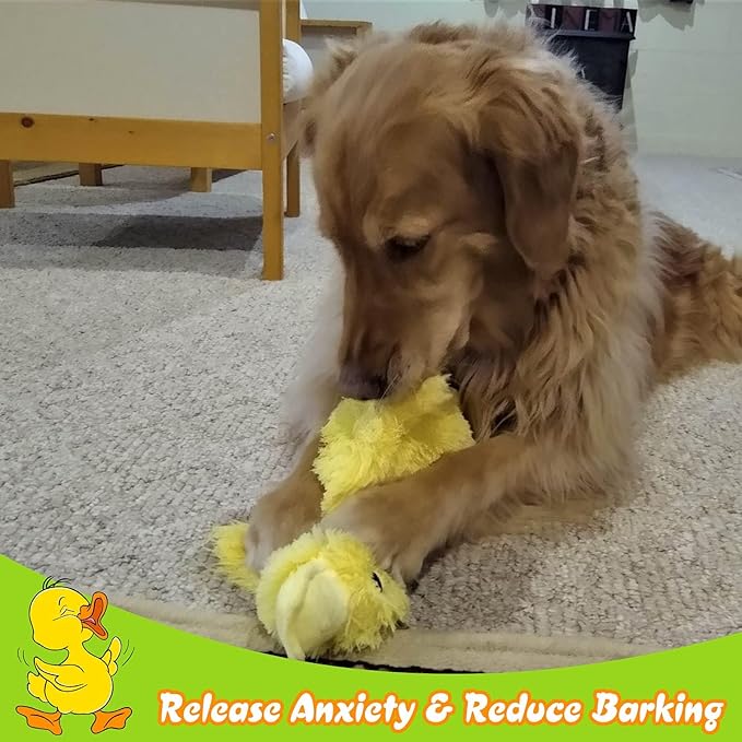 EXPAWLORER Plush Squeaky Duck Dog Toy - Dog Toys to Keep Them Busy, Soft Stuffed Animal, Best Birthday Gift Interactive Filled Chew Toys for Small Medium Dogs Puppy Biting Training Teething, Yellow