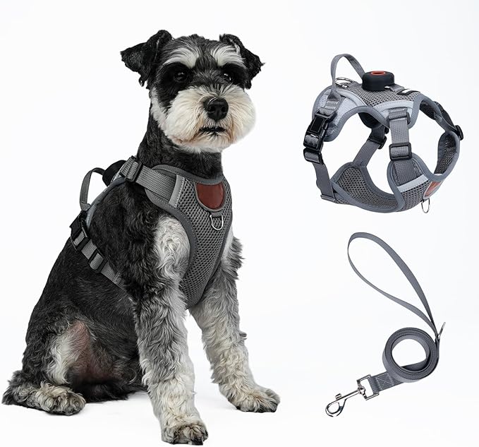 Harness and Leash Set with AirTag Holder for Large Cat Small Dog, Upgraded Escape Proof Vest with Lead for Puppy Outdoor Walking，Soft Breathable Mesh Coat with Reflective Strip (Grey, XL)