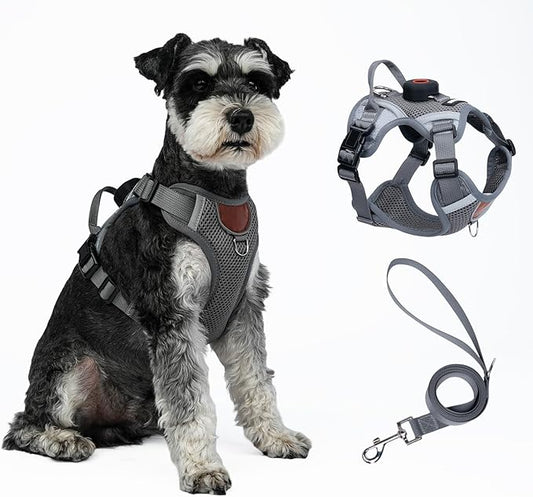 Harness and Leash Set with AirTag Holder for Large Cat Small Dog, Upgraded Escape Proof Vest with Lead for Puppy Outdoor Walking，Soft Breathable Mesh Coat with Reflective Strip (Grey, XL)