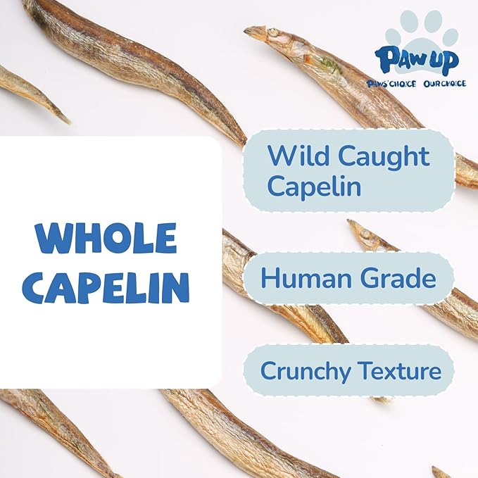 PAWUP Freeze Dried Capelin Dogs Treats – Raw Single Ingredient Dog Fish Snacks, Rich in Omega-3 for Skin & Coat Health, Grain Free, 3.5oz