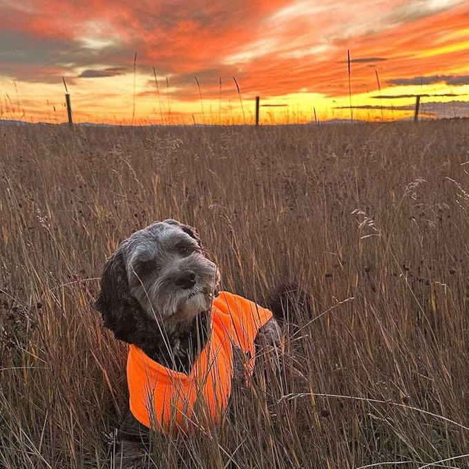 JACKO & CO - Fleece Vest Dog Sweater with Leash Ring - Soft, Warm & Lightweight Pullover Coat for Small & Medium Dogs, Puppies & Cats - Cozy Fall/Winter/Spring Pet Jacket (Pumpkin, Small 2-4lbs)