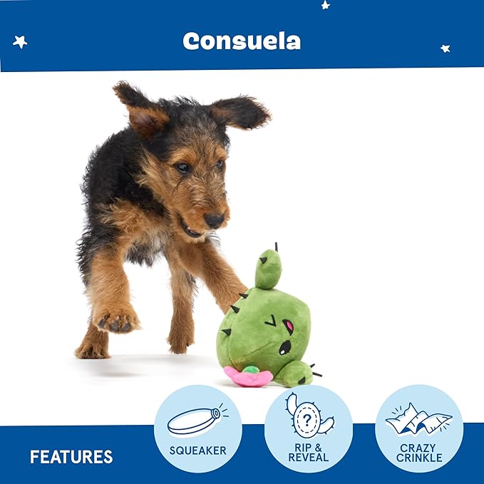 Barkbox 2 in 1 Interactive Plush Dog Toy - Rip and Reveal Toy for Dogs and Puppies - Stimulating Squeaky Pet Toys | Consuela Cactus (Small)