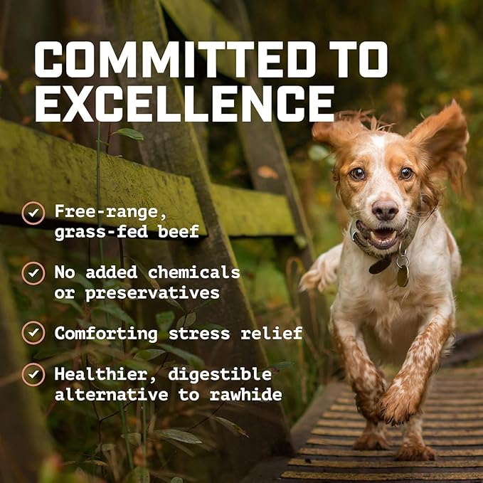 Wild Wolf 12-inch Half-Cut Bully Sticks (1 Pound/~12 Sticks) 100% Natural and Full of Nutrients - Best for Small to Medium Dogs - Natural Toothbrush - Hand-Inspected and Packed with Love in The USA