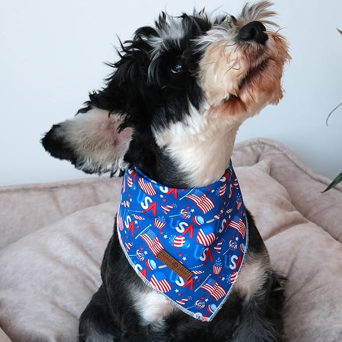 lionet paws Patriotic 4th of July Dog Bandana American Flag for Small Medium Large Dogs, Cat Dog Kerchief Triangle Bibs Scarf for Male Female