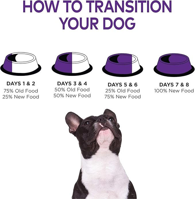 Wellness Natural Pet Food Complete Health Natural Dry Senior Dog Food, Chicken & Barley, 5-Pound Bag